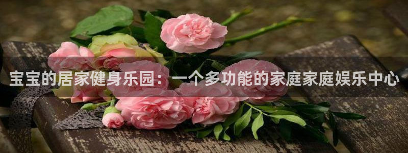 球客岛官方正版app集团:宝宝的居家健身乐园:一个多功能的家